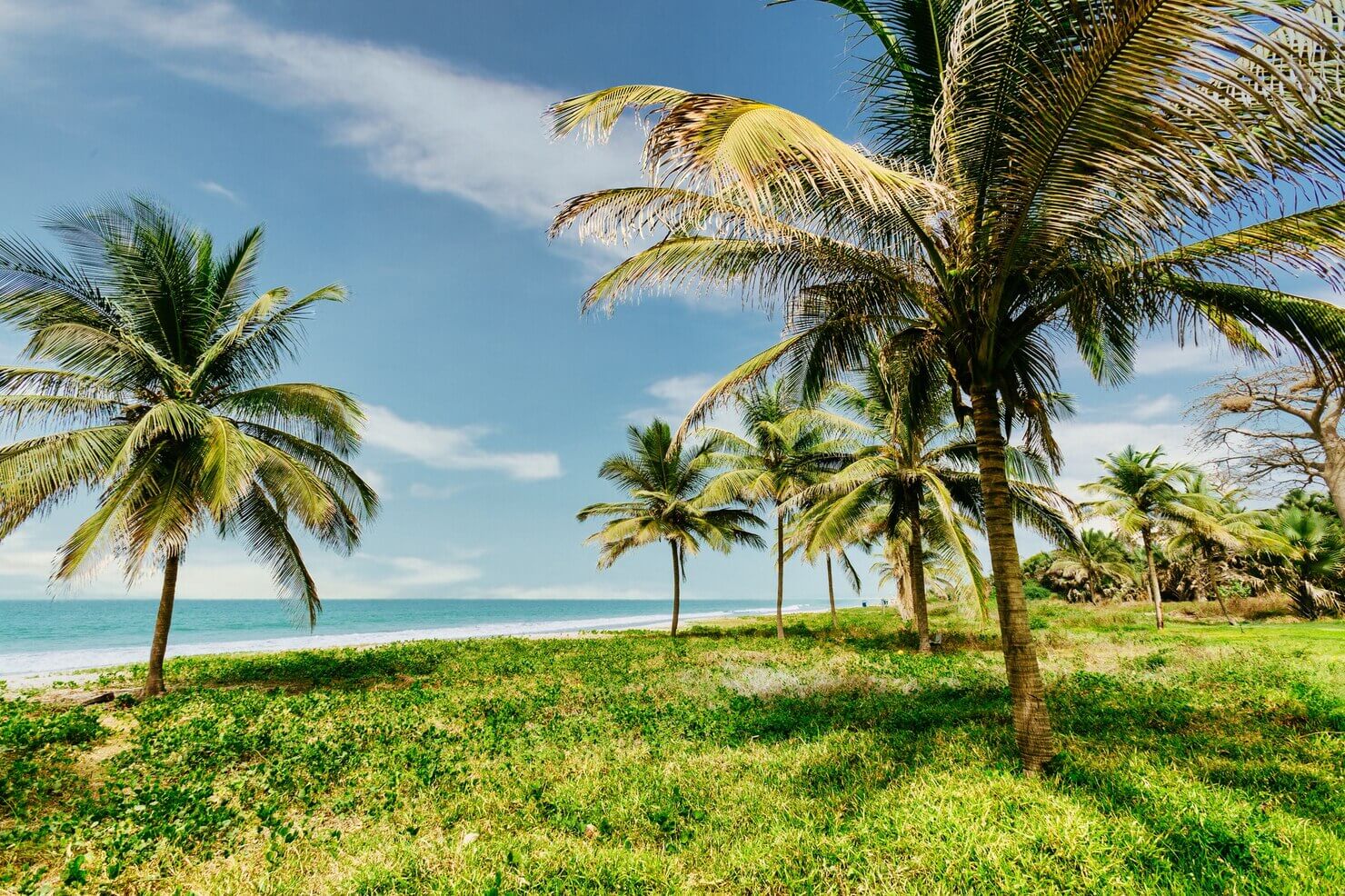 Coconut Grove